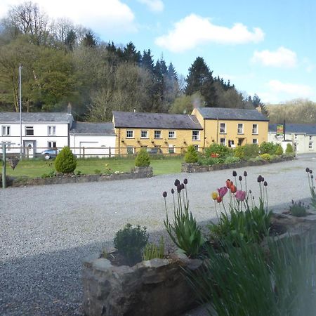 Neuadd Wen Guest House Carmarthen Eksteriør billede