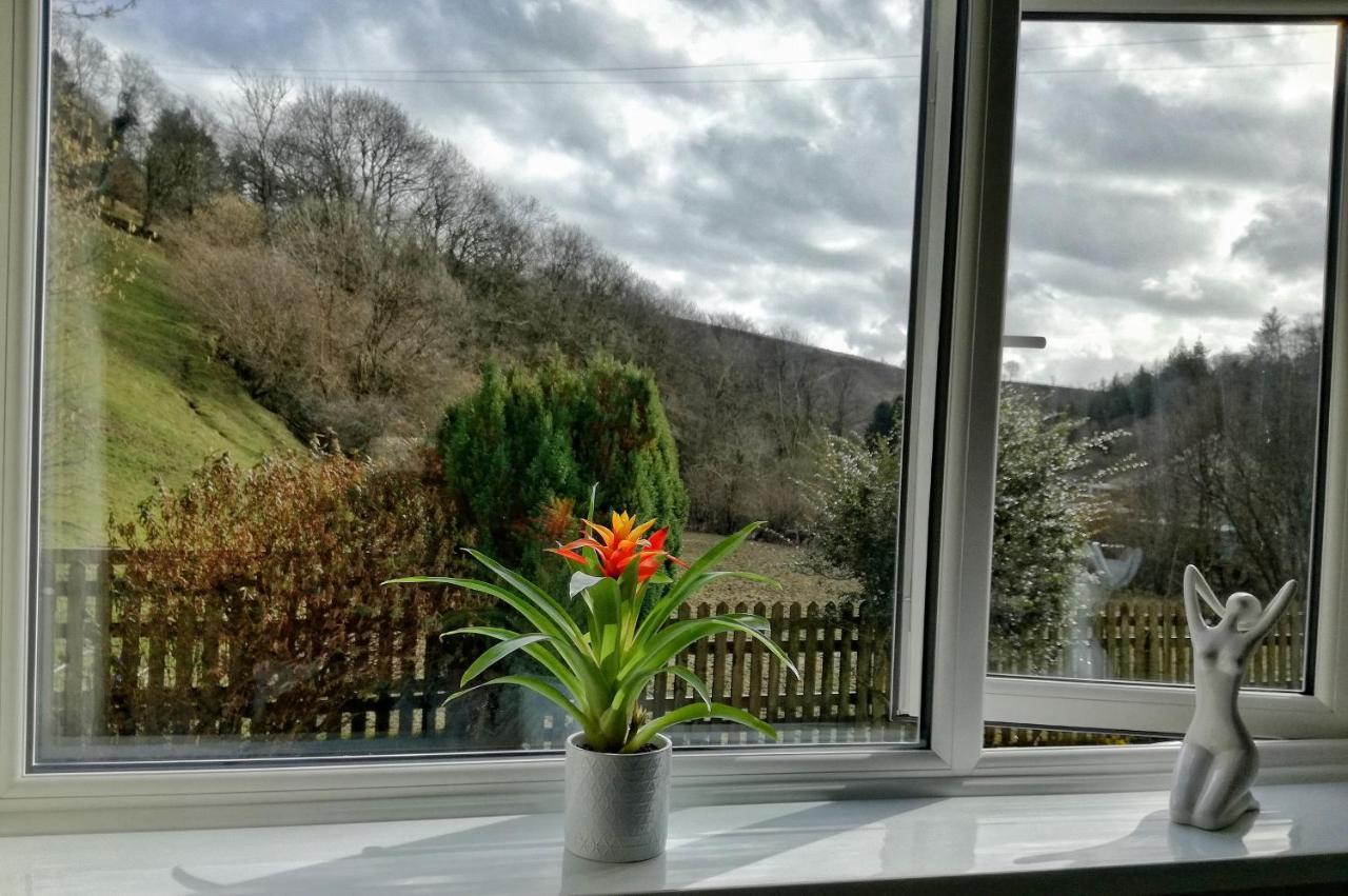 Neuadd Wen Guest House Carmarthen Eksteriør billede